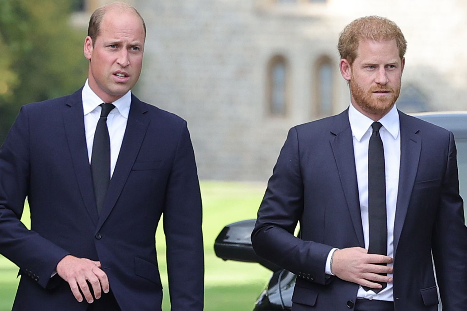 William et Harry 