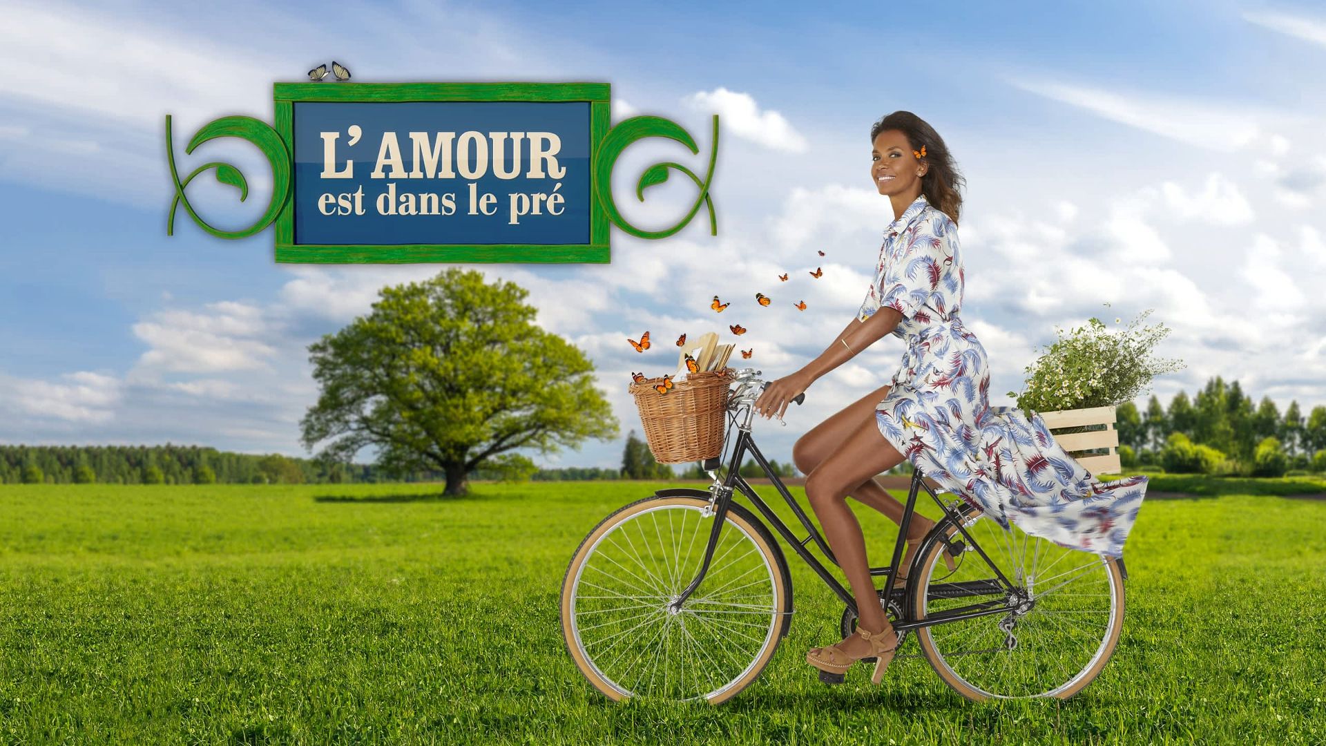 2006 L'amour est dans le pré