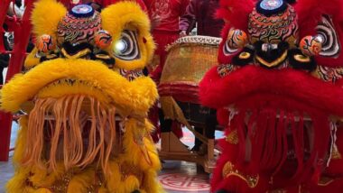 Dragons en fête