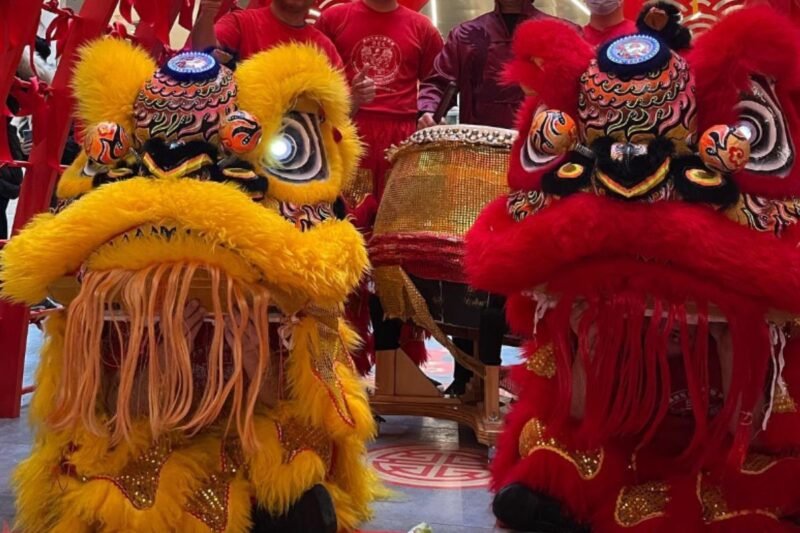 Dragons en fête