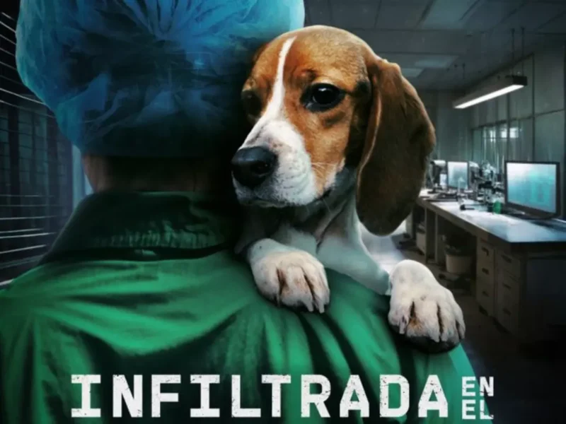 Infiltrada en el búnker
