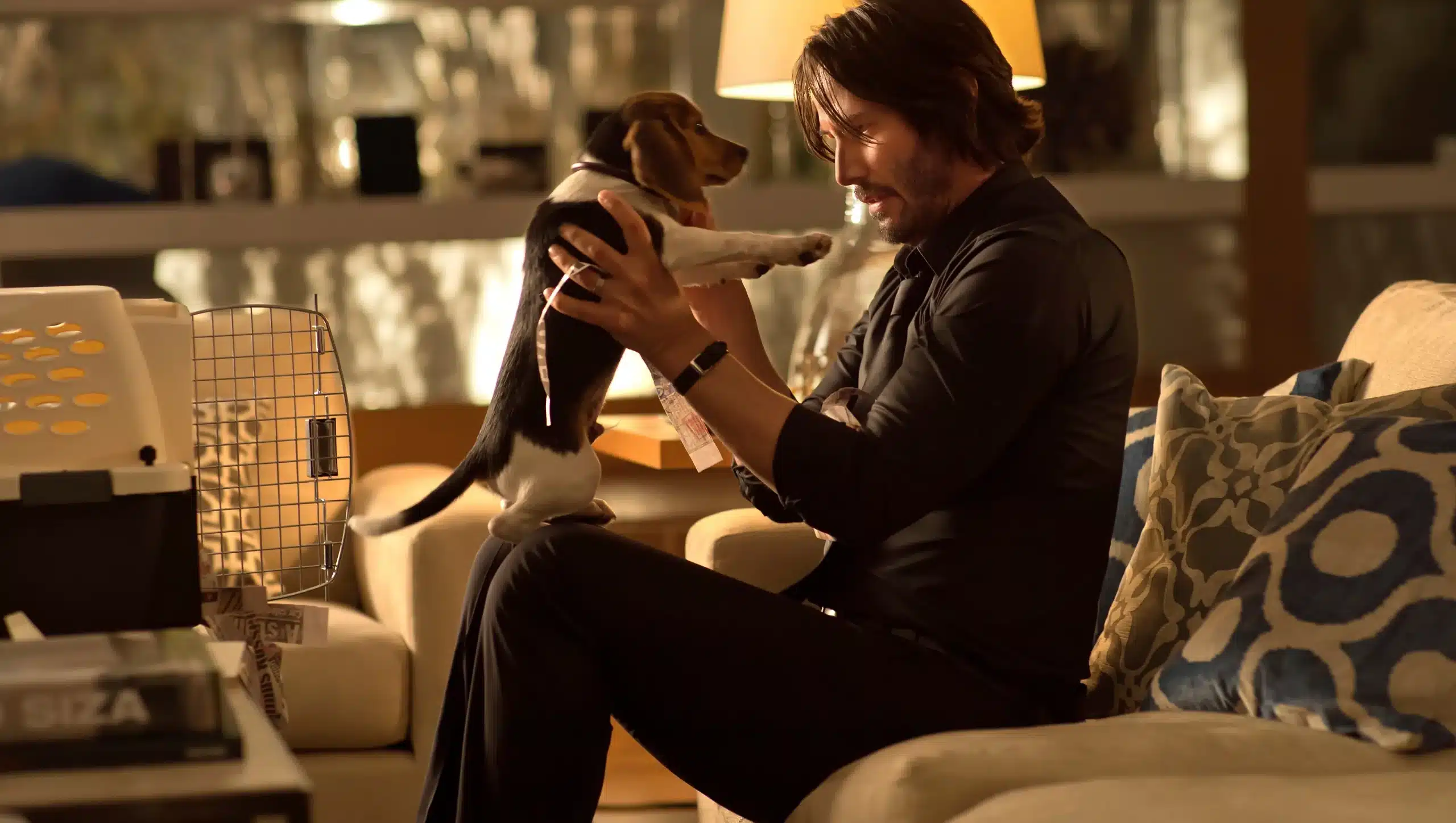 Évolution de la Motivation de John Wick