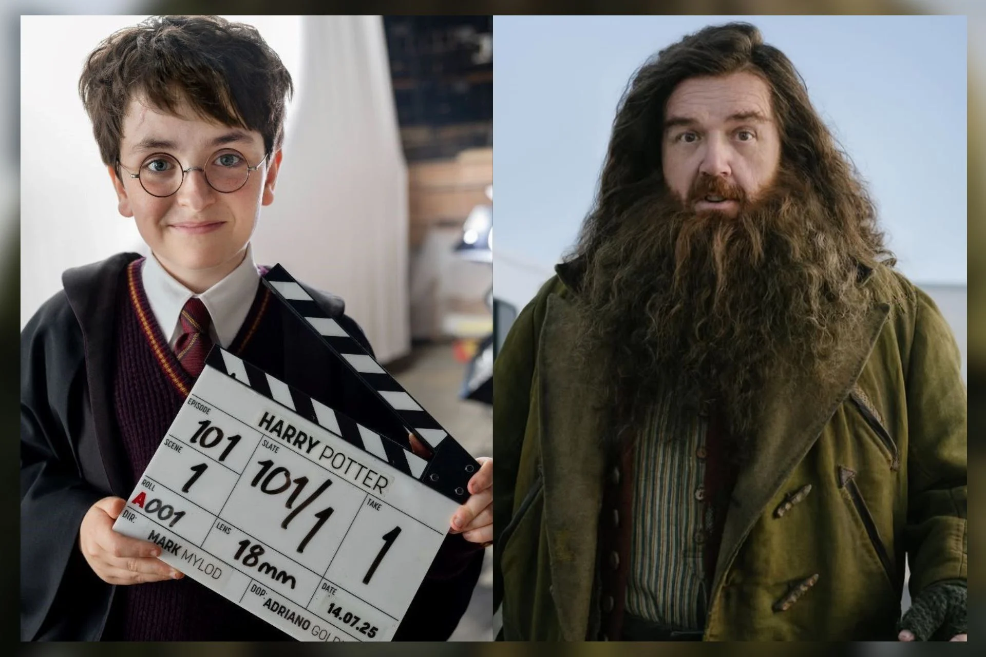 Harry Potter